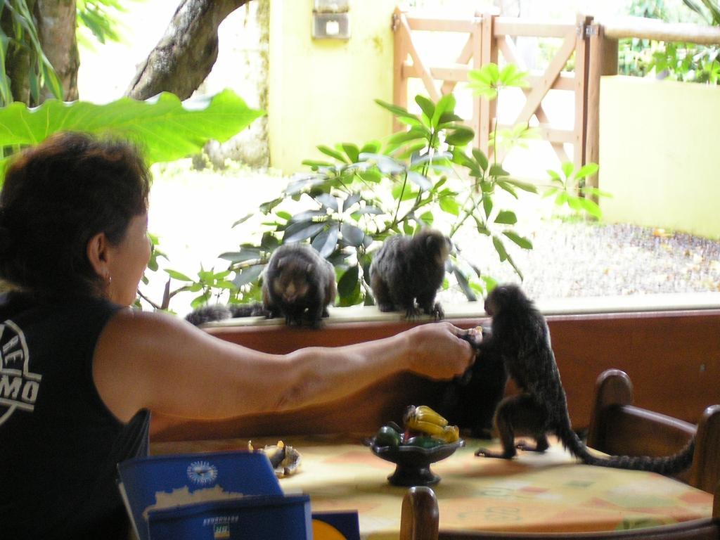 Pousada Solarium Itacare Bagian luar foto